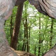  Sehe die Dinge aus anderer Sicht mit MET