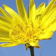  Entfalten Sie Ihre PersÃ¶nlichkeit mit MET