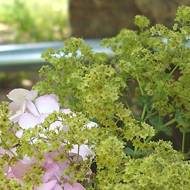  GenieÃŸen Sie Stille wÃ¤hrend einer wunderbaren Shiatsusitzung