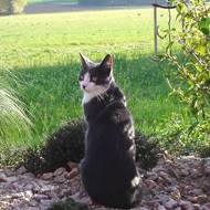  Es gibt wichtigeres im Leben, als stÃ¤ndig dessen Geschwindigkeit zu erhÃ¶hen.